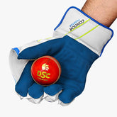 DSC Condor Floater Wicket Keeping Gloves (Mens)